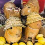 ヒメ日記 2025/09/22 14:47 投稿 まゆ カワサキ EROTIC