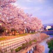 ヒメ日記 2025/11/26 17:30 投稿 まゆ カワサキ EROTIC