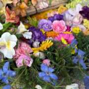 ヒメ日記 2026/01/30 11:01 投稿 まゆ カワサキ EROTIC