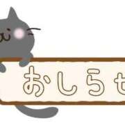 ヒメ日記 2024/06/19 23:12 投稿 ひかり 妊婦・母乳専門店 ミルクランド