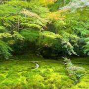 ヒメ日記 2024/12/08 10:37 投稿 よみ 横浜パフパフチェリーパイ