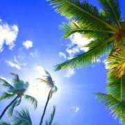 ヒメ日記 2025/01/11 20:42 投稿 よみ 横浜パフパフチェリーパイ