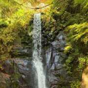 ヒメ日記 2025/02/21 11:12 投稿 よみ 横浜パフパフチェリーパイ