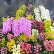 ヒメ日記 2025/02/28 17:40 投稿 よみ 横浜パフパフチェリーパイ