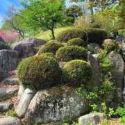 ヒメ日記 2025/03/07 13:22 投稿 よみ 横浜パフパフチェリーパイ