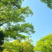 ヒメ日記 2025/03/18 13:52 投稿 よみ 横浜パフパフチェリーパイ