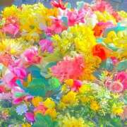 ヒメ日記 2025/03/21 16:52 投稿 よみ 横浜パフパフチェリーパイ