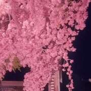 ヒメ日記 2025/04/03 12:32 投稿 よみ 横浜パフパフチェリーパイ