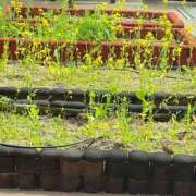 ヒメ日記 2025/04/11 17:22 投稿 よみ 横浜パフパフチェリーパイ