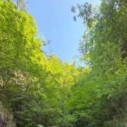 ヒメ日記 2025/04/13 12:52 投稿 よみ 横浜パフパフチェリーパイ