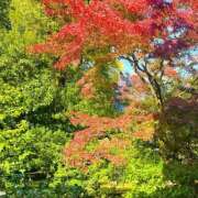 ヒメ日記 2025/04/15 15:12 投稿 よみ 横浜パフパフチェリーパイ