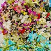 ヒメ日記 2025/04/22 14:33 投稿 よみ 横浜パフパフチェリーパイ