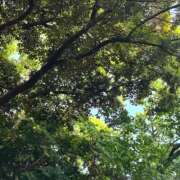 ヒメ日記 2025/05/05 13:42 投稿 よみ 横浜パフパフチェリーパイ