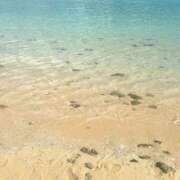 ヒメ日記 2025/05/10 12:42 投稿 よみ 横浜パフパフチェリーパイ