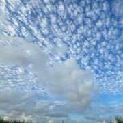 ヒメ日記 2025/05/12 15:32 投稿 よみ 横浜パフパフチェリーパイ