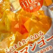 ヒメ日記 2025/05/14 12:42 投稿 よみ 横浜パフパフチェリーパイ