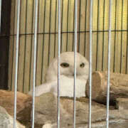 ヒメ日記 2025/05/16 19:42 投稿 よみ 横浜パフパフチェリーパイ