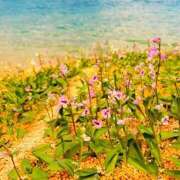 ヒメ日記 2025/05/22 17:32 投稿 よみ 横浜パフパフチェリーパイ