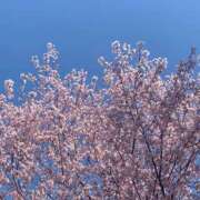 ヒメ日記 2026/03/29 07:22 投稿 よみ 横浜パフパフチェリーパイ