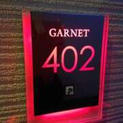 めぐみ 13:30本指名ガーネットS様🙇❤️✨ Hip's千葉駅前店