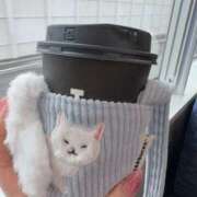 ヒメ日記 2026/03/04 10:30 投稿 いお-KINDAN- KINDAN-禁断-