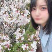 ヒメ日記 2026/04/03 10:30 投稿 いお-KINDAN- KINDAN-禁断-