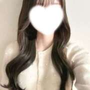 ヒメ日記 2025/04/29 19:19 投稿 羽音　みみ プルプル倶楽部 札幌すすきの店