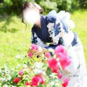 ヒメ日記 2026/07/17 22:00 投稿 羽音　みみ プルプル倶楽部 札幌すすきの店