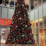 ヒメ日記 2024/12/22 12:02 投稿 尾形みひろ 五十路マダム静岡店（カサブランカG）