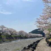 ヒメ日記 2025/04/27 12:00 投稿 尾形みひろ 五十路マダム静岡店（カサブランカG）