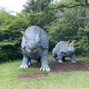 ヒメ日記 2025/07/20 12:02 投稿 尾形みひろ 五十路マダム静岡店（カサブランカG）