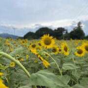 ヒメ日記 2025/08/24 12:00 投稿 尾形みひろ 五十路マダム静岡店（カサブランカG）