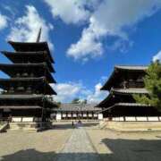 ヒメ日記 2025/12/28 12:02 投稿 尾形みひろ 五十路マダム静岡店（カサブランカG）