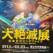 ヒメ日記 2026/02/15 12:02 投稿 尾形みひろ 五十路マダム静岡店（カサブランカG）