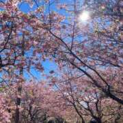 ヒメ日記 2026/03/01 12:02 投稿 尾形みひろ 五十路マダム静岡店（カサブランカG）