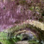 ヒメ日記 2025/05/09 19:31 投稿 ゆみこ 人妻美人館