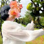 ヒメ日記 2025/07/19 21:17 投稿 ゆみこ 人妻美人館