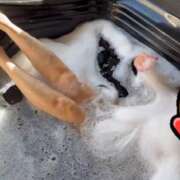 ヒメ日記 2025/07/26 08:06 投稿 ゆみこ 人妻美人館