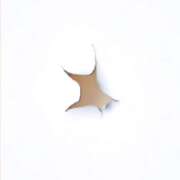 ヒメ日記 2025/09/06 20:14 投稿 ゆみこ 人妻美人館