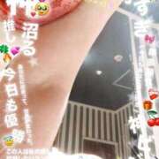 ヒメ日記 2025/12/28 20:42 投稿 ゆみこ 人妻美人館