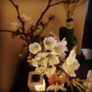 ヒメ日記 2025/03/09 12:53 投稿 結城なみ ドクトル・ストレッチ