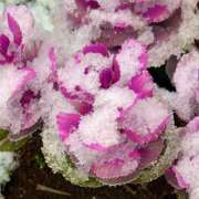 ヒメ日記 2025/03/30 13:35 投稿 結城なみ ドクトル・ストレッチ