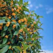 ヒメ日記 2025/10/13 16:59 投稿 結城なみ ドクトル・ストレッチ