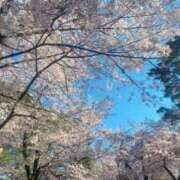 ヒメ日記 2026/04/04 21:16 投稿 結城なみ ドクトル・ストレッチ