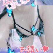 ヒメ日記 2024/12/09 15:40 投稿 けいと 熟女家 梅田店