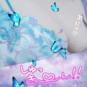 ヒメ日記 2024/12/26 15:22 投稿 けいと 熟女家 梅田店