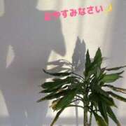 ヒメ日記 2025/02/02 22:50 投稿 あゆ 奥鉄オクテツ神奈川店（デリヘル市場グループ）