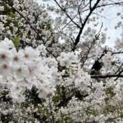 ヒメ日記 2025/04/10 17:30 投稿 あゆ 奥鉄オクテツ神奈川店（デリヘル市場グループ）