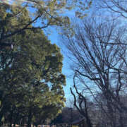 ヒメ日記 2026/01/15 07:30 投稿 あゆ 奥鉄オクテツ神奈川店（デリヘル市場グループ）