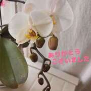 ヒメ日記 2026/04/16 13:30 投稿 あゆ 奥鉄オクテツ神奈川店（デリヘル市場グループ）